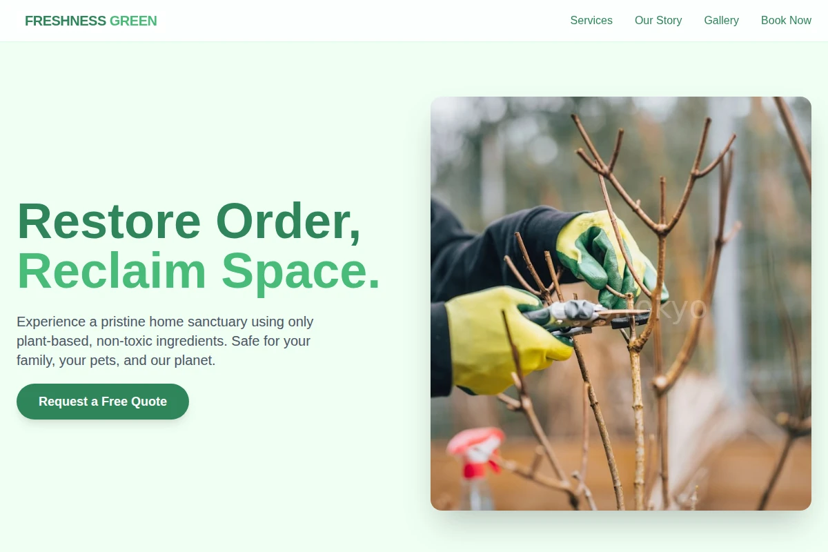 Freshness Green Cleaning