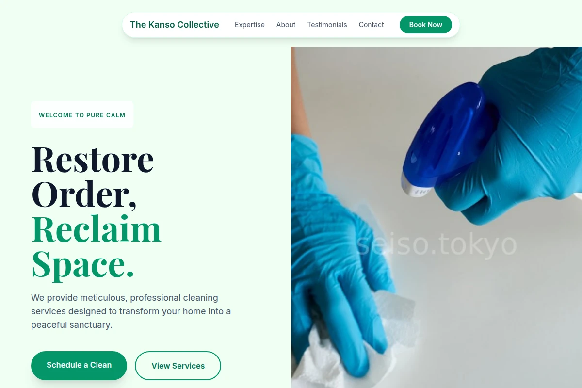 Solvent House Cleaning